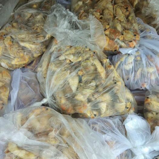 旌德县金蝉  大个竹蝉