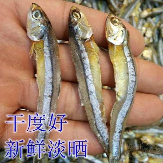  大量出售海鲜银鱼，有骨头的