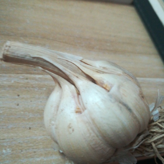 盐城 优质脱水大蒜