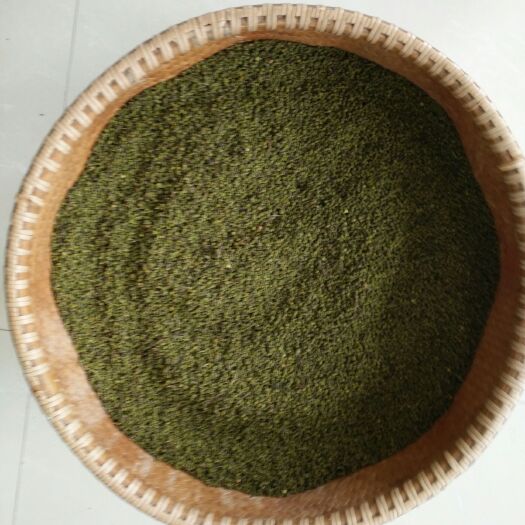 仙居县吴茱萸种子 中药村，中花吴茱萸