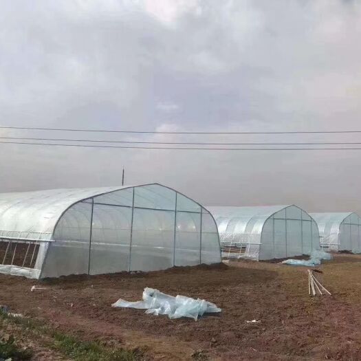 沭阳县钢管大棚 各类蔬菜 养殖大棚  欢迎选购