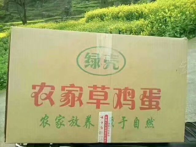 清镇市 我们只做大自然绿色食品的搬运工，绿色食品农家散养土鸡