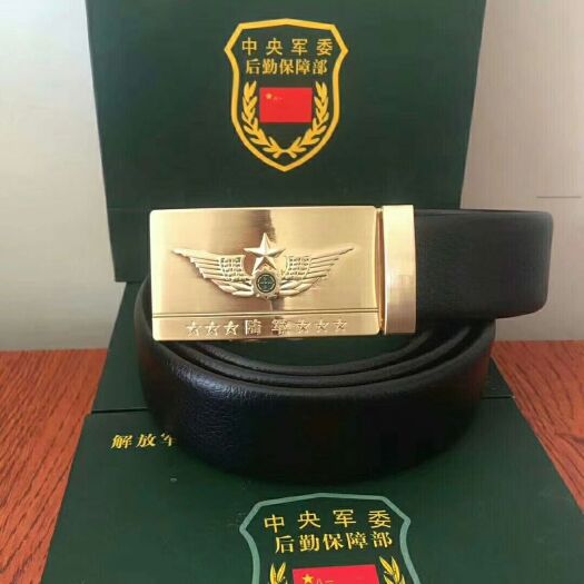 合肥铁皮石斛盆栽 