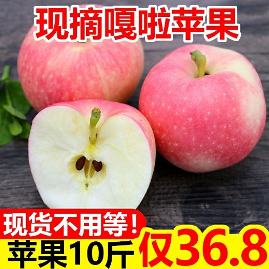 芮城县 19年新鲜嘎啦当季新鲜红苹果五斤装产地直发包邮运城苹果
