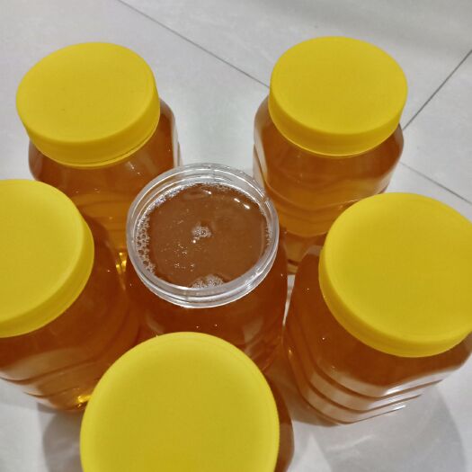 海丰县中蜂 深山乌桕蜜
