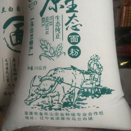 凌源市 纯小麦面粉