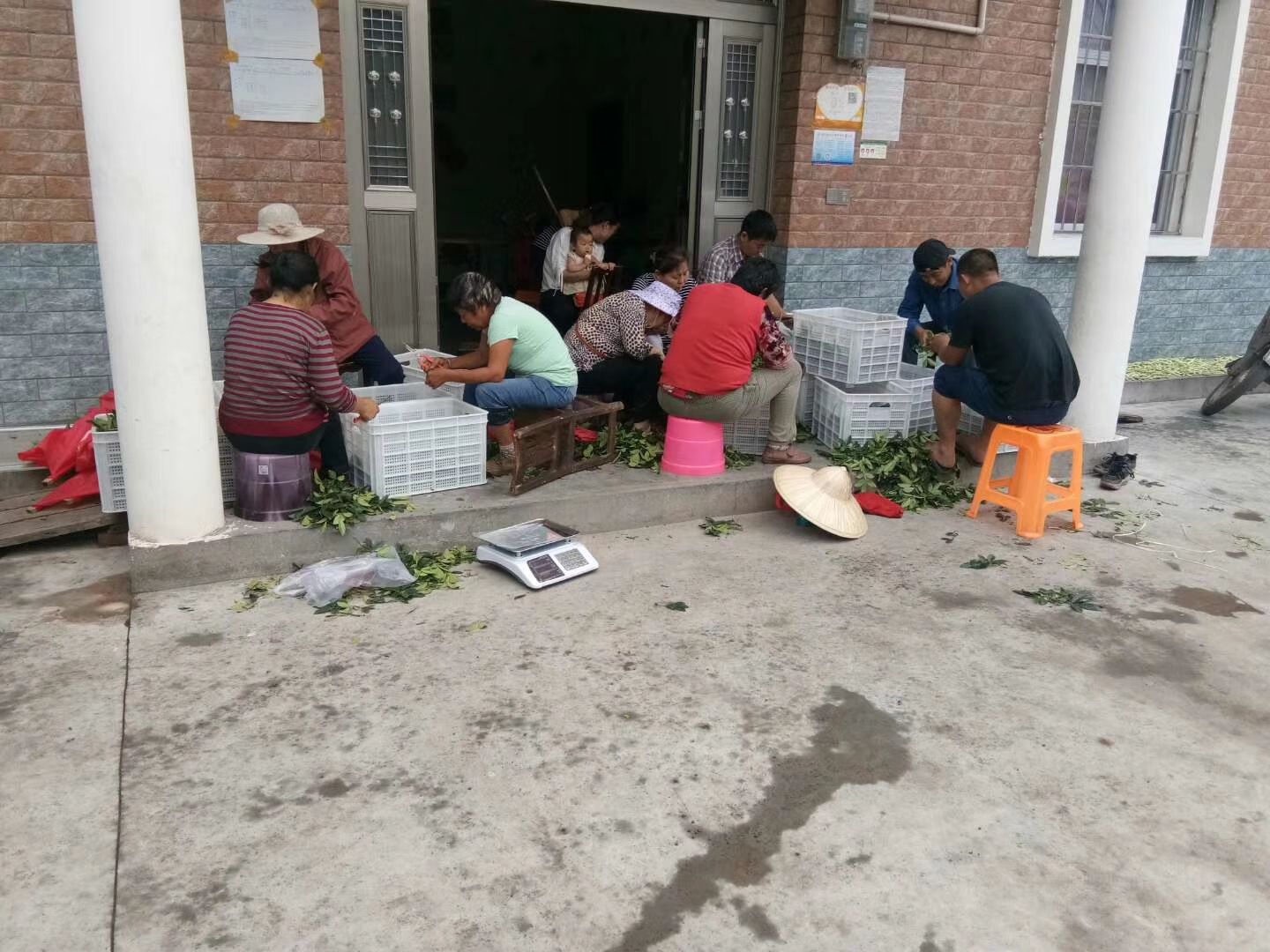 塑料筐 全新塑胶细孔圆眼花椒筐   厂家厂价直销批发价格便宜