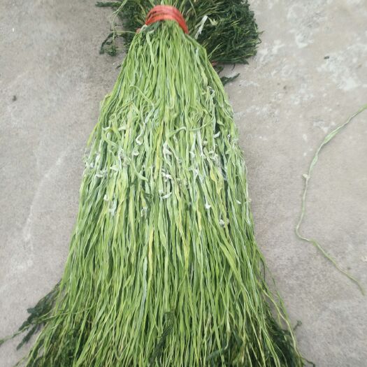 睢宁县贡菜干  贡菜，绿色食品，营养丰富，'物美价廉，老少皆宜，物美价廉，