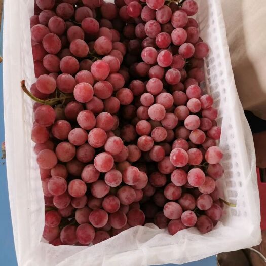 弥勒市水晶葡萄 口感很好，颜色好，