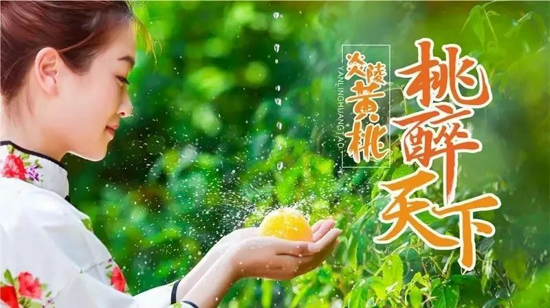 炎陵县 炎陵高山黄桃