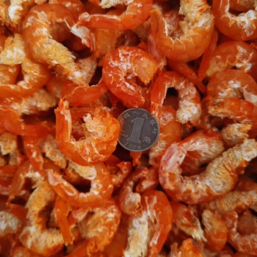 滨州 对虾米，淡干海米