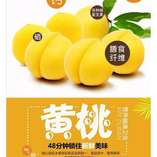 桂东县 湖南，桂东高山黄桃