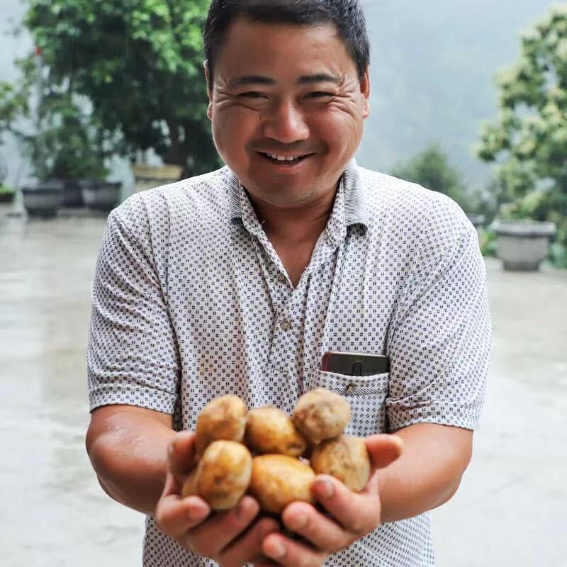 富硒土豆，老品种马尔科洋芋，好吃看得见。