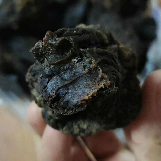 赤峰 大量批发零售五香油炸咸菜干
