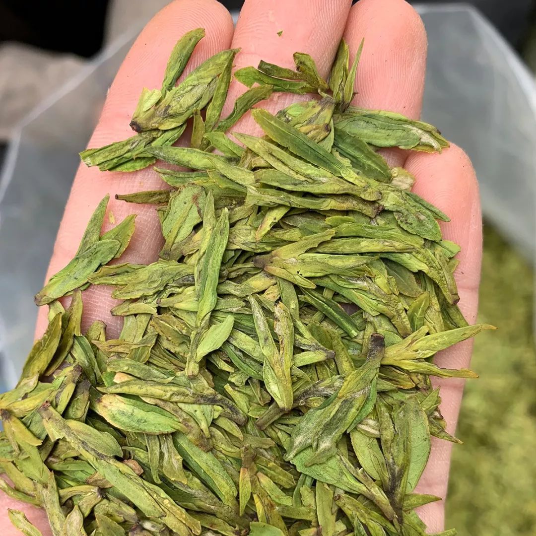 龙井茶 一级 散装