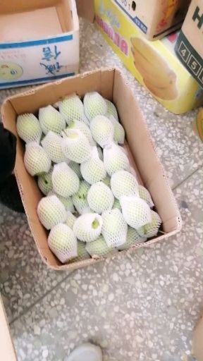 蒲城县 陕西渭南蒲城早熟梨