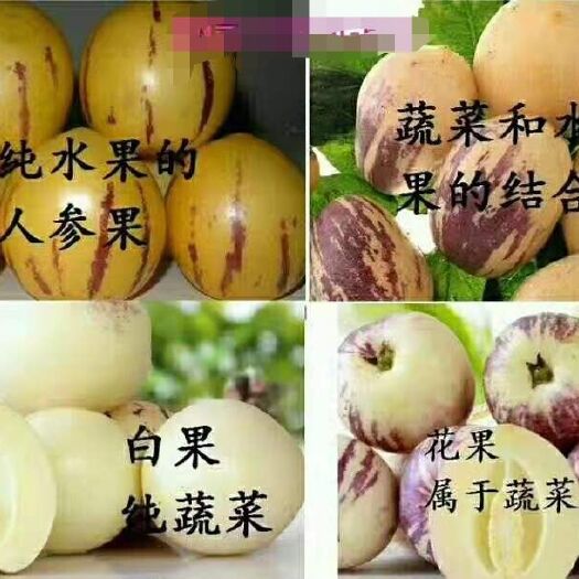 石林县 石林人参果，好吃