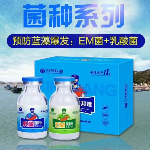 原阳县养殖EM菌液 水产用有益菌，净水改底提高收益