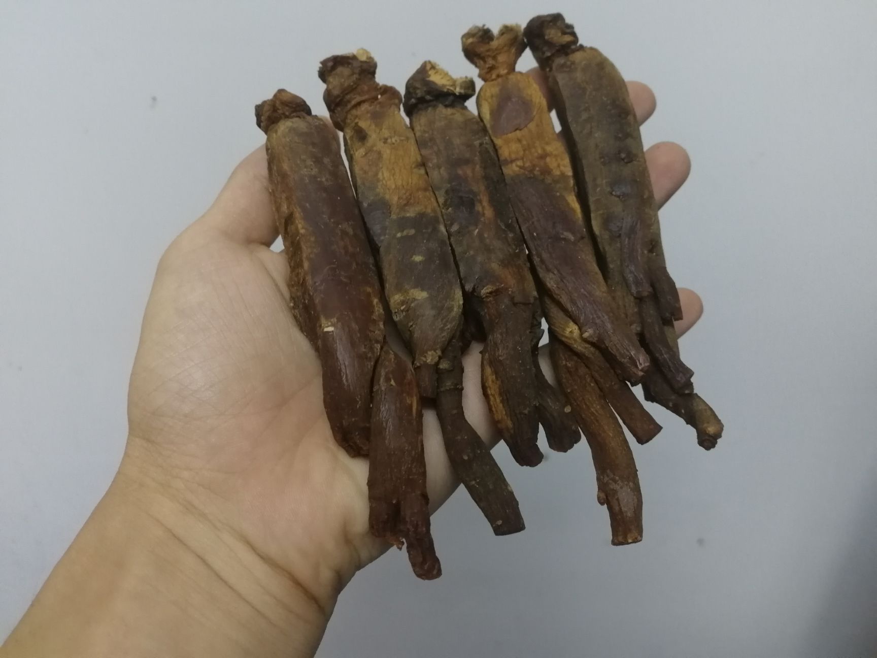红参 集安参13头