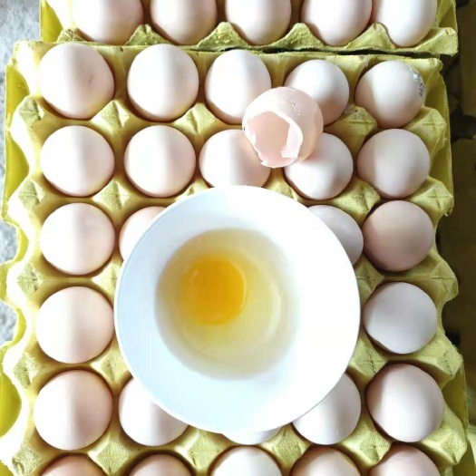 桃江县土鸡蛋 粉蛋