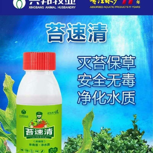 原阳县饲料鱼 快速杀青苔，无毒保草！