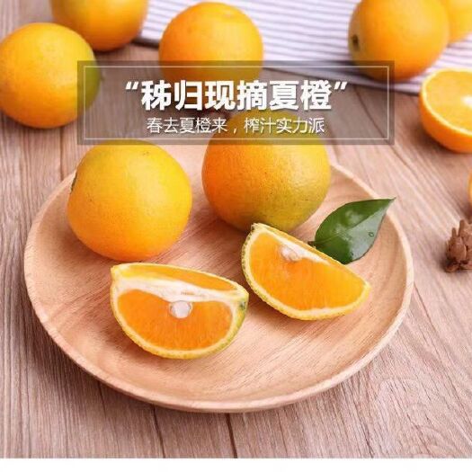 寿光市 有四川夏橙6000斤，酸甜口，水分大，爆汁，有没有需要的
