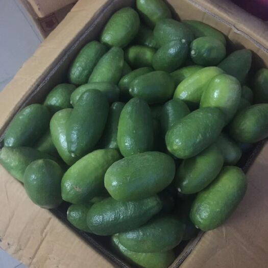 玉林夏日良品，香水柠檬 应季水果奶茶店专用无籽柠檬批发新鲜