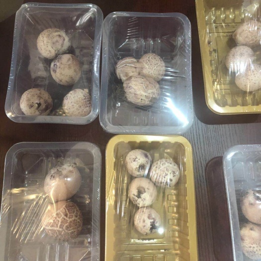 佛山防雾袋 防雾膜 食品专用