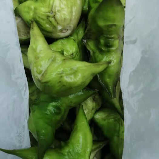  菱角菱米大量上市，欢迎订购