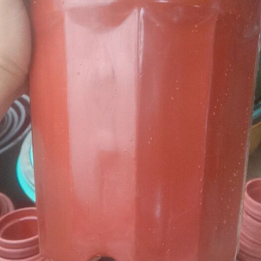 广州塑料盆 花盆，外口径26/高度23公分，铁红色盆