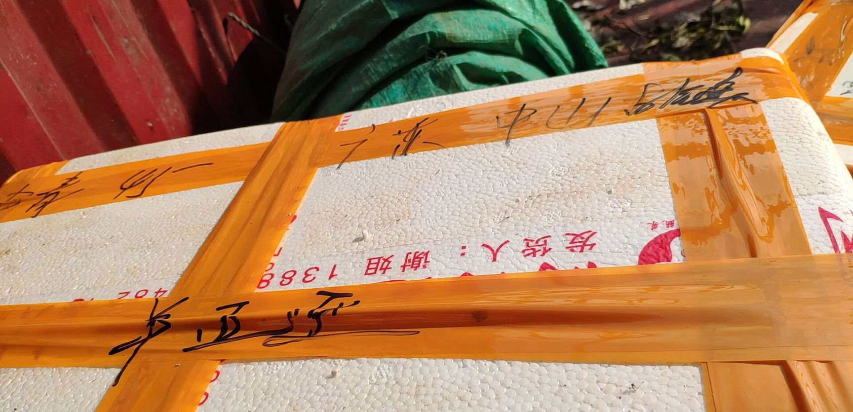 清水小龙虾 456虾子15