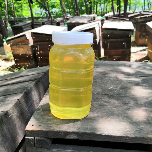 资阳槐花蜜 塑料瓶装 2年以上 98%