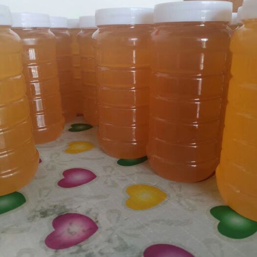 涿州市枣花蜜 塑料瓶装 2年以上 
