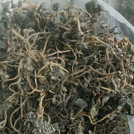 济南马齿苋干 马齿笕包子饺子店专用马菜干货野生马苋菜干 无杂质马齿苋