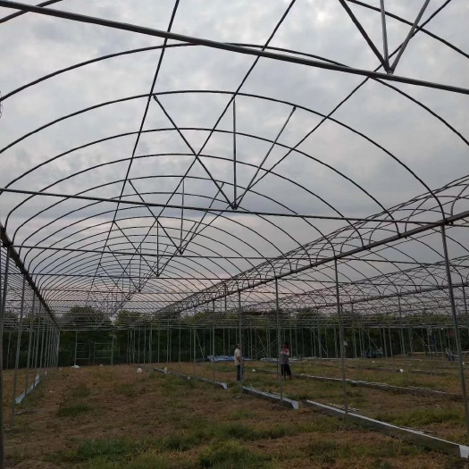 灌云县蔬菜大棚 厂家直销各类养殖棚种植棚及连栋棚