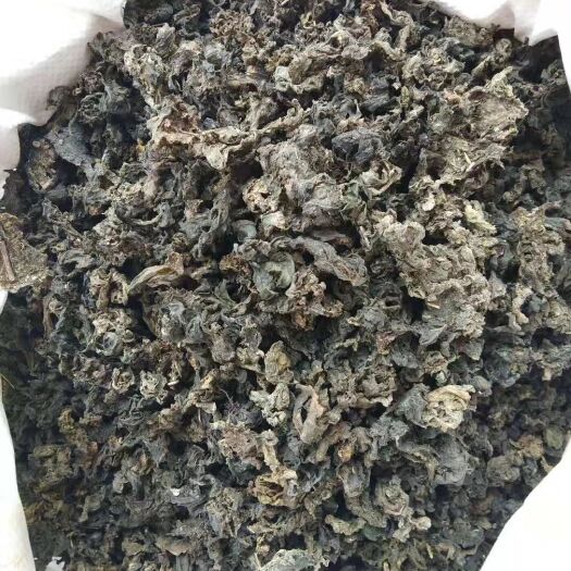 甘肃野生地皮菜地耳有现货