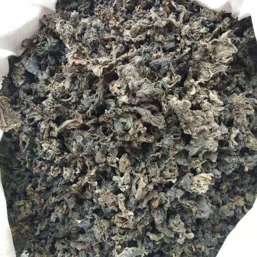 西和县甘肃野生地皮菜地耳有现货