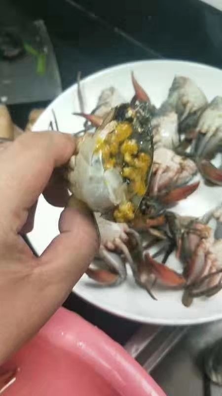 漳浦县青蟹