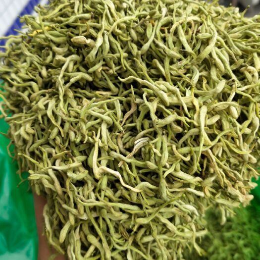 天全县四季金银花