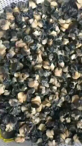 新鲜大田螺肉，纯人工挑肉，肉质饱满