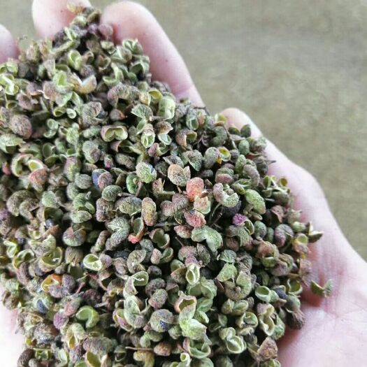 富平县富平青花椒鲜货，价格美丽，纯货，两遍机子，无杂质。