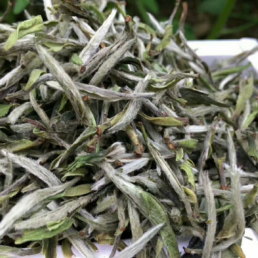义乌市福鼎白茶 2019纯野生牡丹王