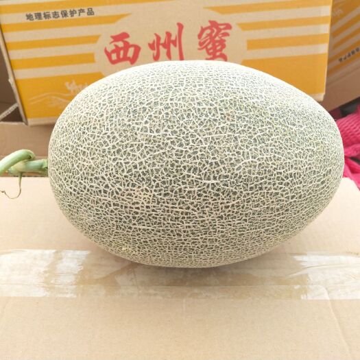 巴彦淖尔西州蜜 3斤以上