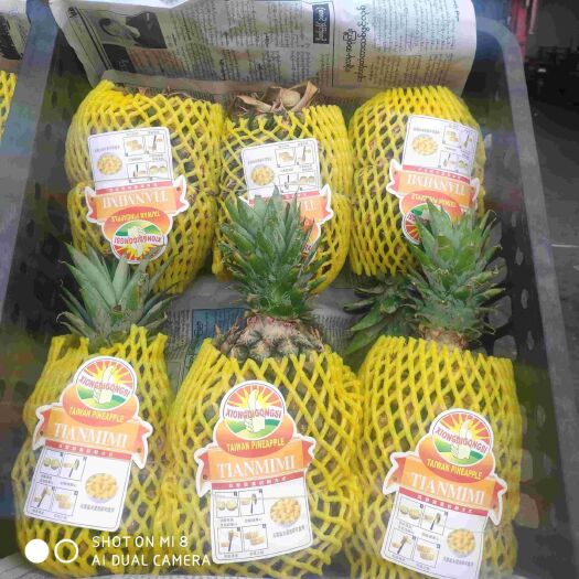 中牟县凤梨 主打各省凤梨。