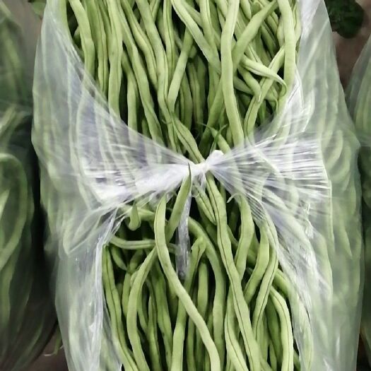 武山县架豆王豆角 甘肃武山洛门无公害夏季架豆王