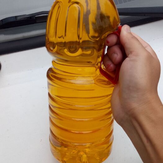 清远 长期供应纯正山茶油