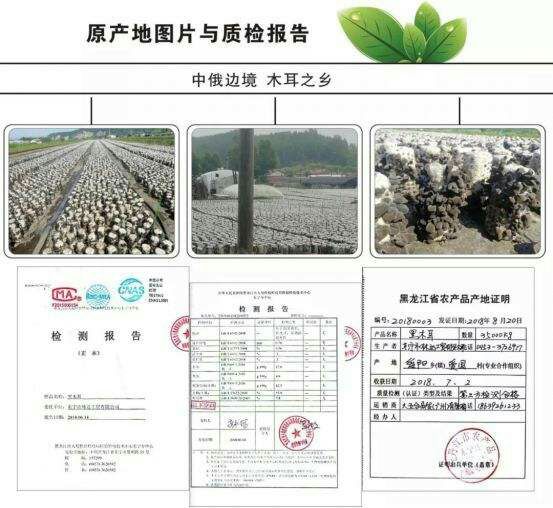  东北第最大木耳基地