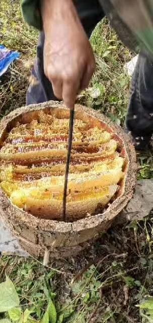 竹山县野生蜂蜜 塑料瓶装 2年 98%