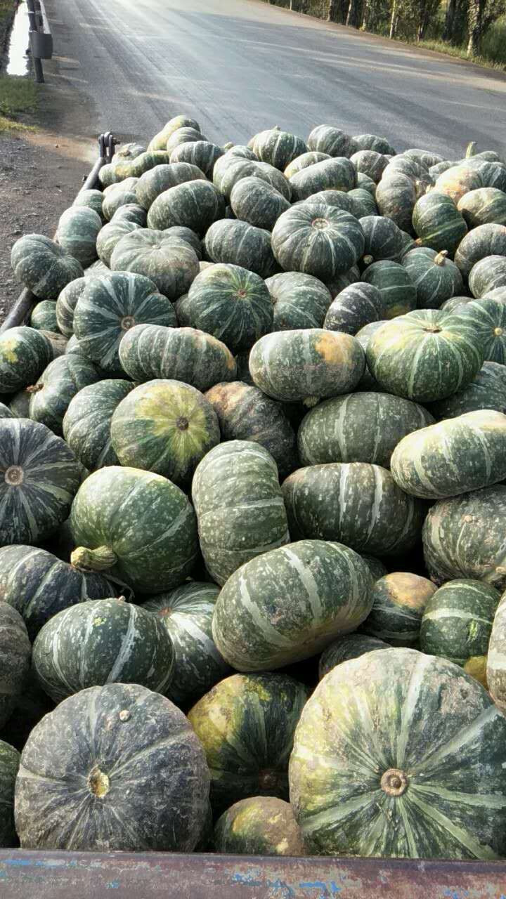 甜面南瓜水果南瓜