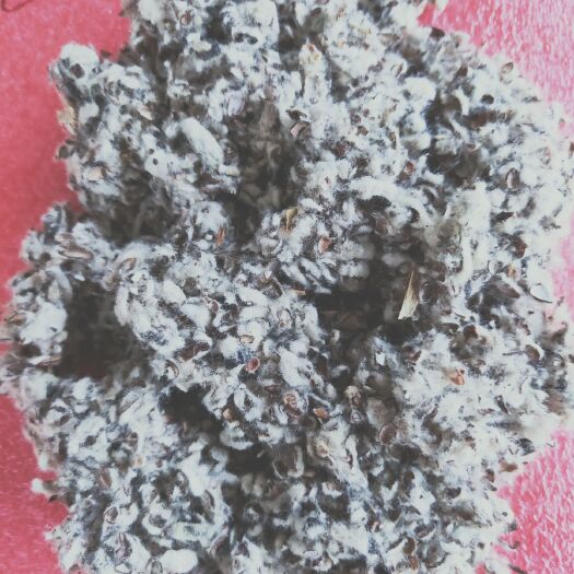菌棒（不含菌种） 平菇栽培料，棉壳，一件一斤2元不含快递费，